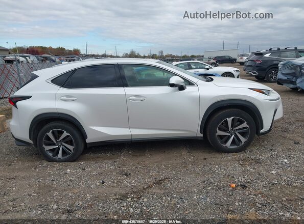 JTJGARDZ4M5023456 2021 LEXUS NX 300 Белый 