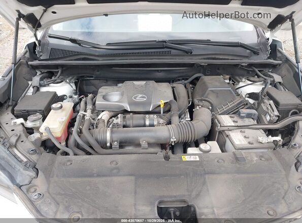 JTJGARDZ4M5023456 2021 LEXUS NX 300 Белый 
