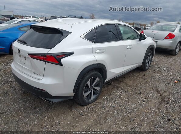 JTJGARDZ4M5023456 2021 LEXUS NX 300 Белый 