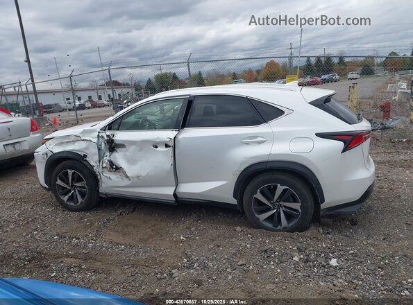 JTJGARDZ4M5023456 2021 LEXUS NX 300 Белый 