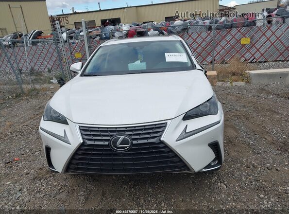 JTJGARDZ4M5023456 2021 LEXUS NX 300 Белый 
