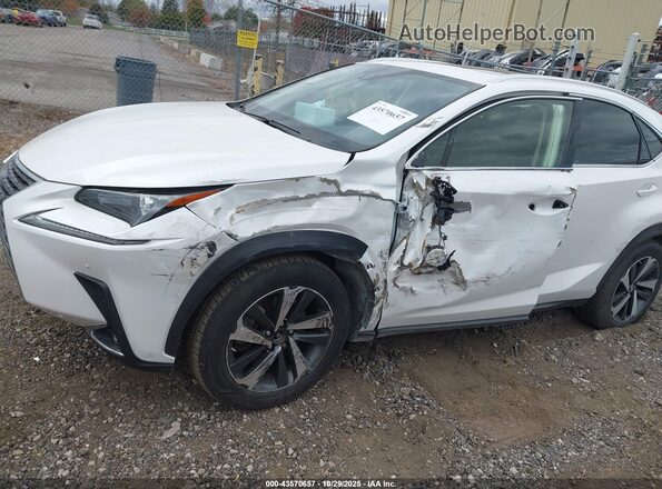 JTJGARDZ4M5023456 2021 LEXUS NX 300 Белый 