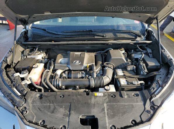JTJGARDZ6L2223058 2020 LEXUS NX Серебряный Вид подкапотного пространства