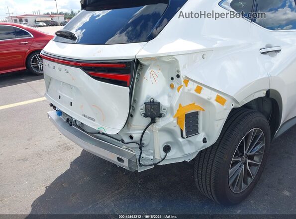 JTJGDCAZ0S2015569 2025 LEXUS NX 250 Белый Вид спереди