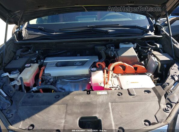 JTJGJRDZ8L2143762 2020 LEXUS NX 300H Серый 