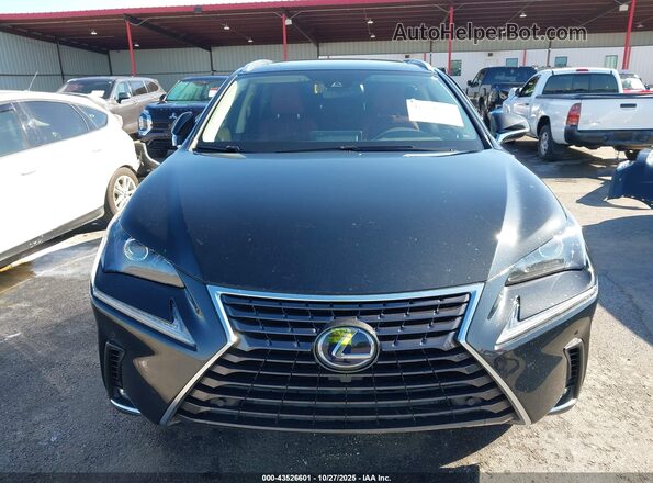 JTJGJRDZ8L2143762 2020 LEXUS NX 300H Серый 