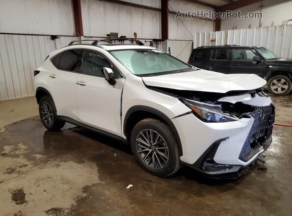 JTJGKCEZ0R5017802 2024 LEXUS NX White 