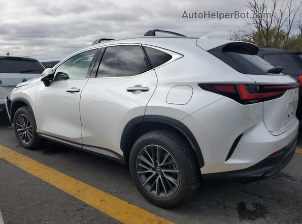 JTJGKCEZ0R5017802 2024 LEXUS NX White 