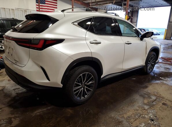 JTJGKCEZ0R5017802 2024 LEXUS NX White 