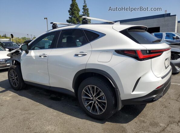 JTJGKCEZ2S2046483 2025 LEXUS NX White 