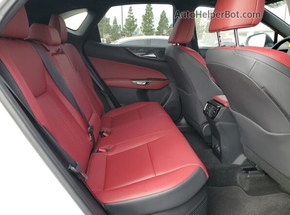 JTJGKCEZ2S2046483 2025 LEXUS NX White 