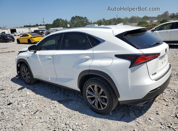 JTJJARBZ2L2175275 2020 LEXUS NX Белый Задняя левая четверть