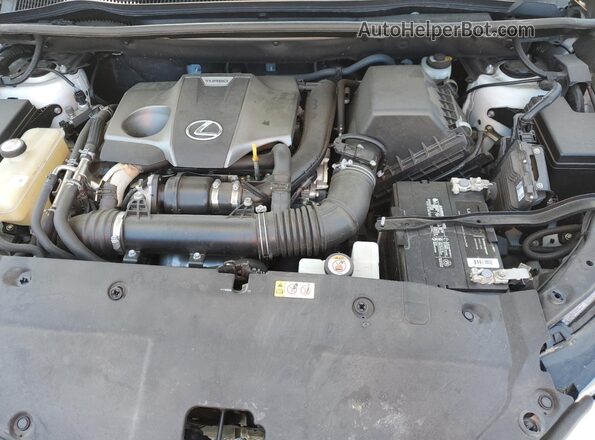 JTJJARBZ2L2175275 2020 LEXUS NX Белый Вид задней части салона