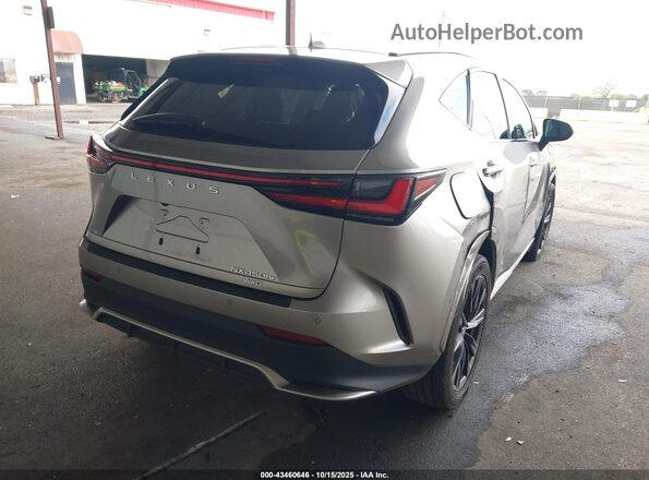 JTJKKCFZ8R2030405 2024 LEXUS NX 450H+ Gray უკანა მარჯვენა