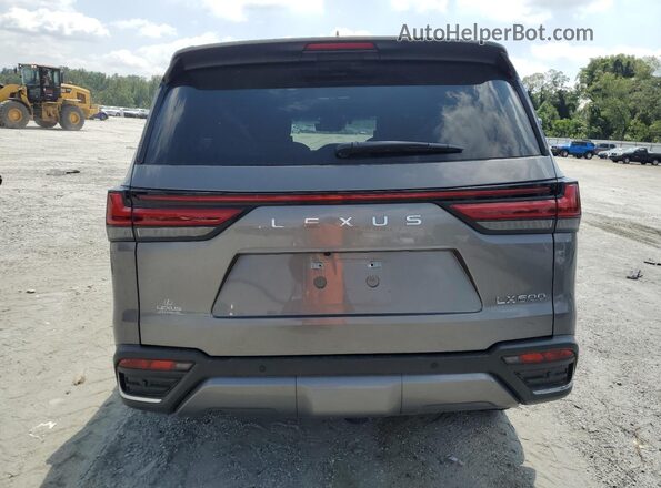 JTJLBACX2P4031319 2023 LEXUS LX Gray Widok z tyłu