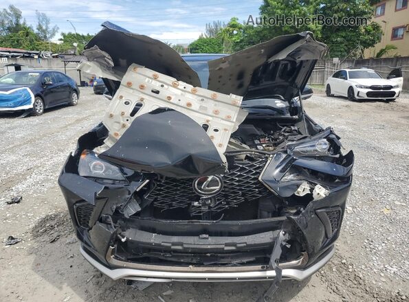JTJSARBZ0M2182893 2021 LEXUS NX Black Вид спереду