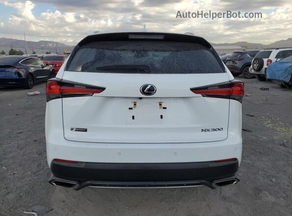 JTJSARBZ1M2197189 2021 LEXUS NX White Вид ззаду