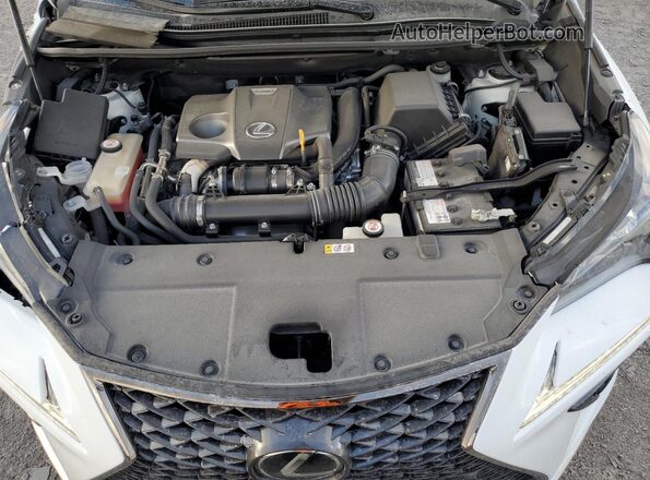 JTJSARBZ1M2197189 2021 LEXUS NX White Вид підкапотного простору