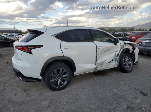 JTJSARBZ1M2197189 2021 LEXUS NX White Задня права чверть