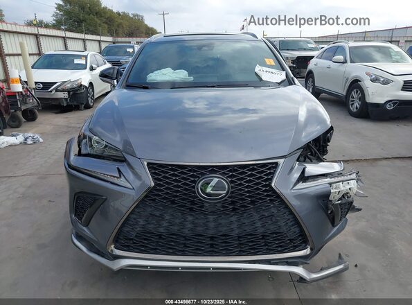JTJSARBZ2L2170372 2020 LEXUS NX 300 Gray Widok wnętrza z tyłu