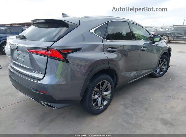 JTJSARBZ2L2170372 2020 LEXUS NX 300 Gray Tył prawy
