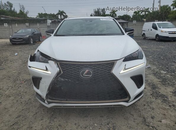 JTJSARBZ2M2190171 2021 LEXUS NX White Vista frontal