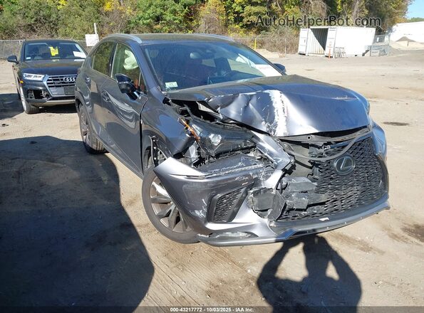 JTJSARBZ3M2181978 2021 LEXUS NX 300 Gray Vista frontal