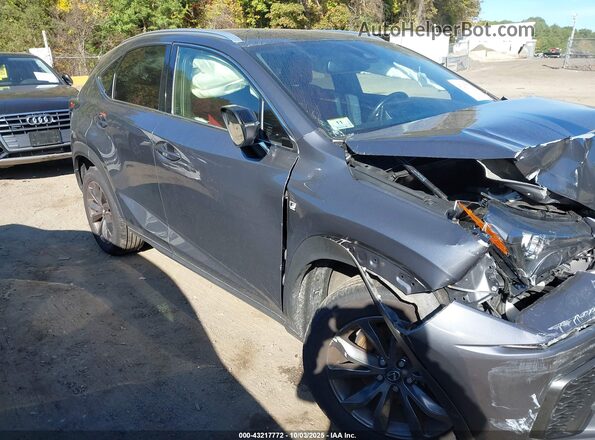 JTJSARBZ3M2181978 2021 LEXUS NX 300 Gray Vista del cuadro de instrumentos