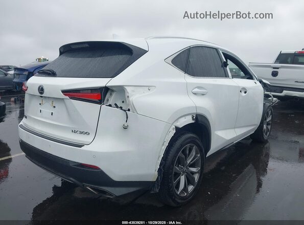 JTJSARBZ3M2201873 2021 LEXUS NX 300 White Tył prawy