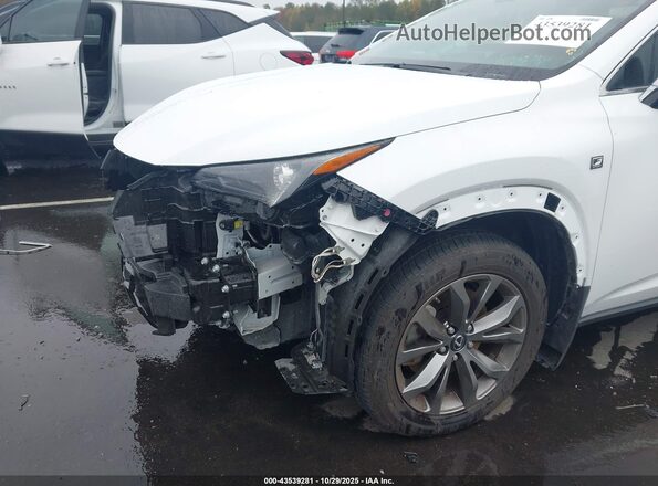 JTJSARBZ3M2201873 2021 LEXUS NX 300 White 