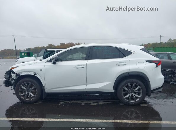 JTJSARBZ3M2201873 2021 LEXUS NX 300 White 