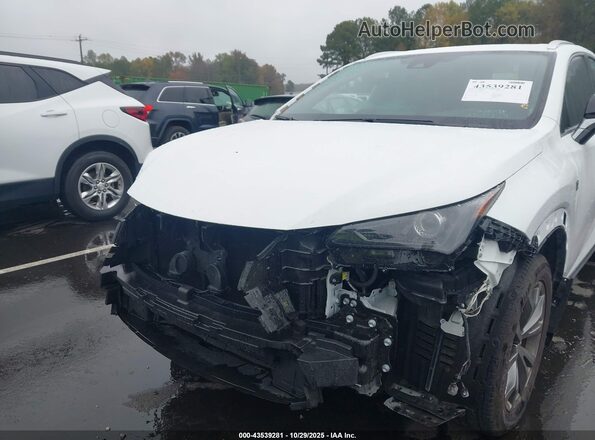 JTJSARBZ3M2201873 2021 LEXUS NX 300 White 