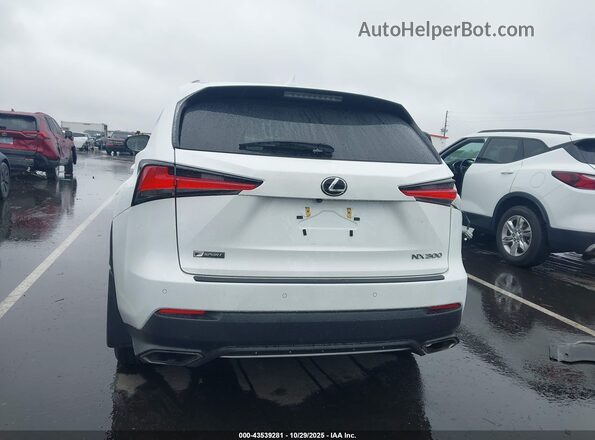 JTJSARBZ3M2201873 2021 LEXUS NX 300 White 