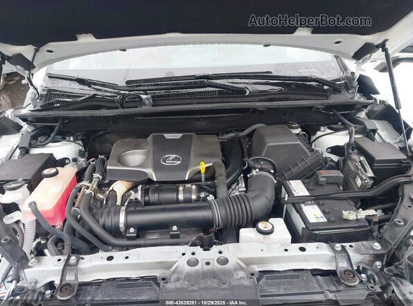 JTJSARBZ3M2201873 2021 LEXUS NX 300 White Widok z tyłu