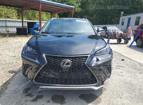 JTJSARBZ3M2203302 2021 LEXUS NX Black Вид спереду