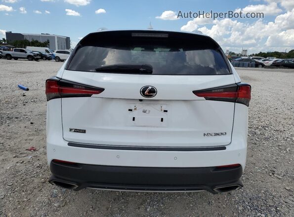 JTJSARBZ7M2189906 2021 LEXUS NX White Вид ззаду
