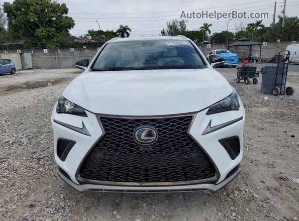 JTJSARBZ7M2189906 2021 LEXUS NX White Вид спереду