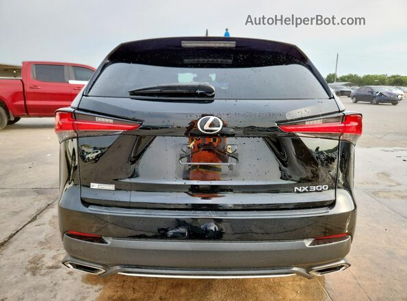 JTJSARBZ9M2195318 2021 LEXUS NX Black Widok z tyłu