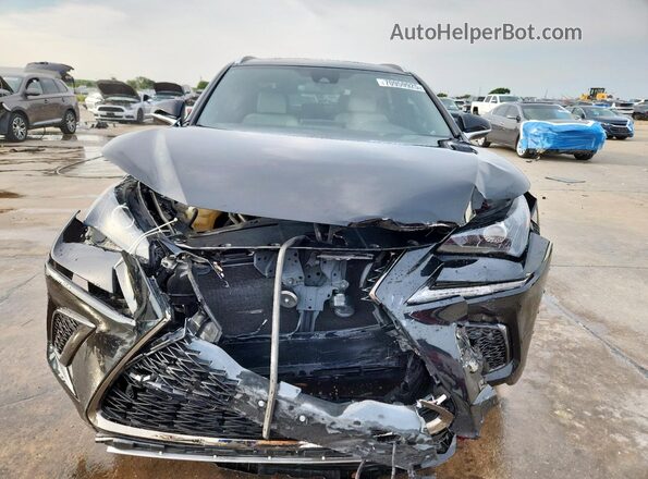 JTJSARBZ9M2195318 2021 LEXUS NX Black Widok z przodu
