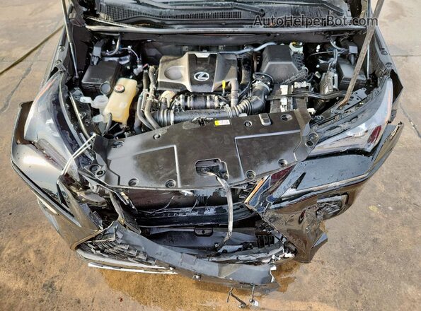 JTJSARBZ9M2195318 2021 LEXUS NX Black Widok komory silnika
