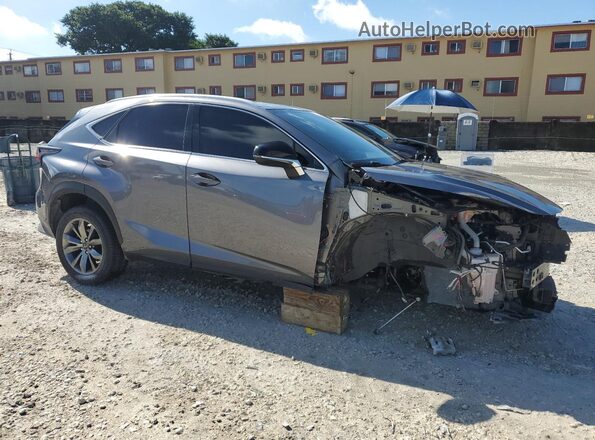 JTJSARBZXM2195733 2021 LEXUS NX Gray წინა მარჯვენა