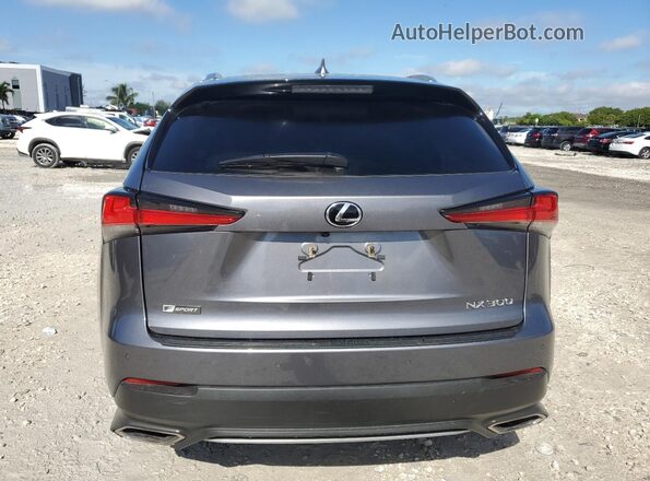 JTJSARBZXM2195733 2021 LEXUS NX Gray უკანა ხედი