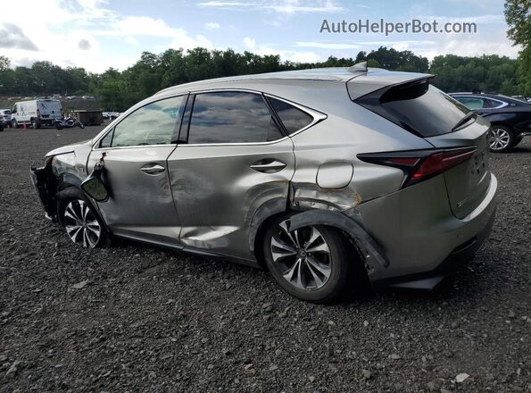 JTJSARDZ1M2246159 2021 LEXUS NX Silver Tył lewy