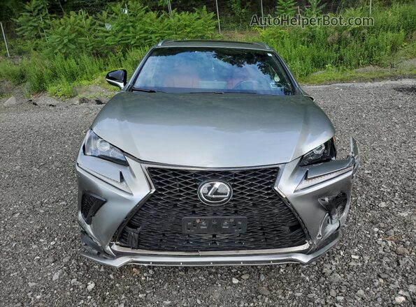 JTJSARDZ1M2246159 2021 LEXUS NX Silver Widok z przodu