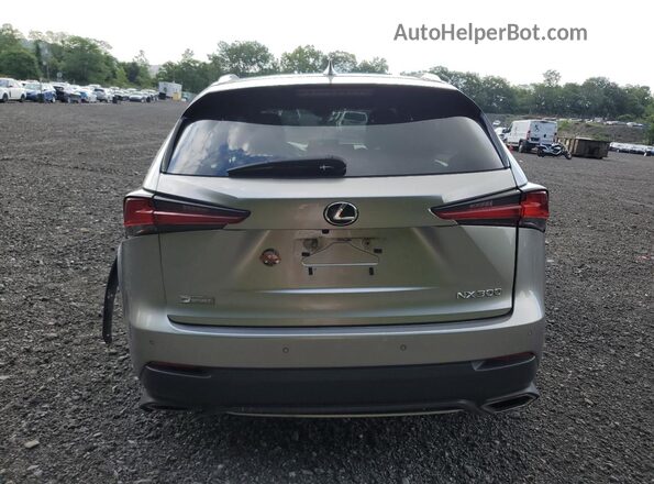 JTJSARDZ1M2246159 2021 LEXUS NX Silver Widok z tyłu
