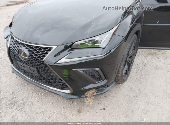 JTJSARDZ2M2238555 2021 LEXUS NX 300 Black 