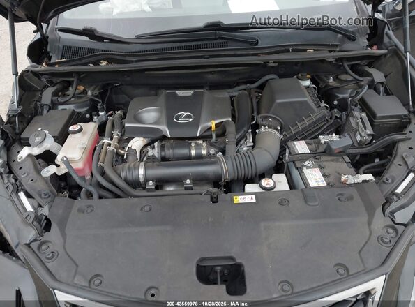 JTJSARDZ2M2238555 2021 LEXUS NX 300 Black უკანა ხედი
