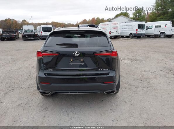 JTJSARDZ2M2238555 2021 LEXUS NX 300 Black 