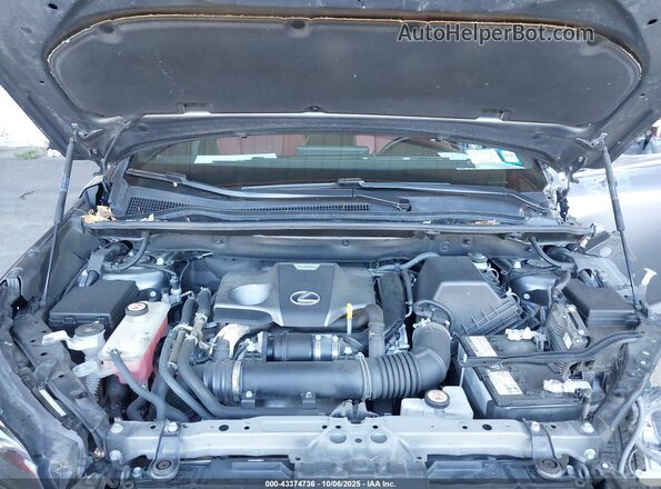 JTJSARDZ2M2261866 2021 LEXUS NX 300 Gray უკანა ხედი