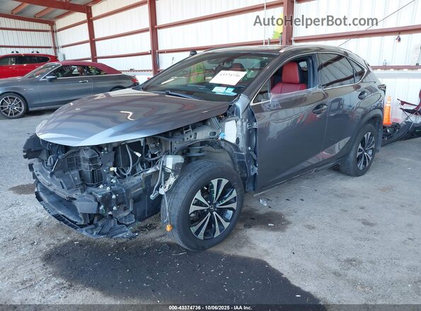JTJSARDZ2M2261866 2021 LEXUS NX 300 Gray წინა მარცხენა ხედი სამი მეოთხედიდან